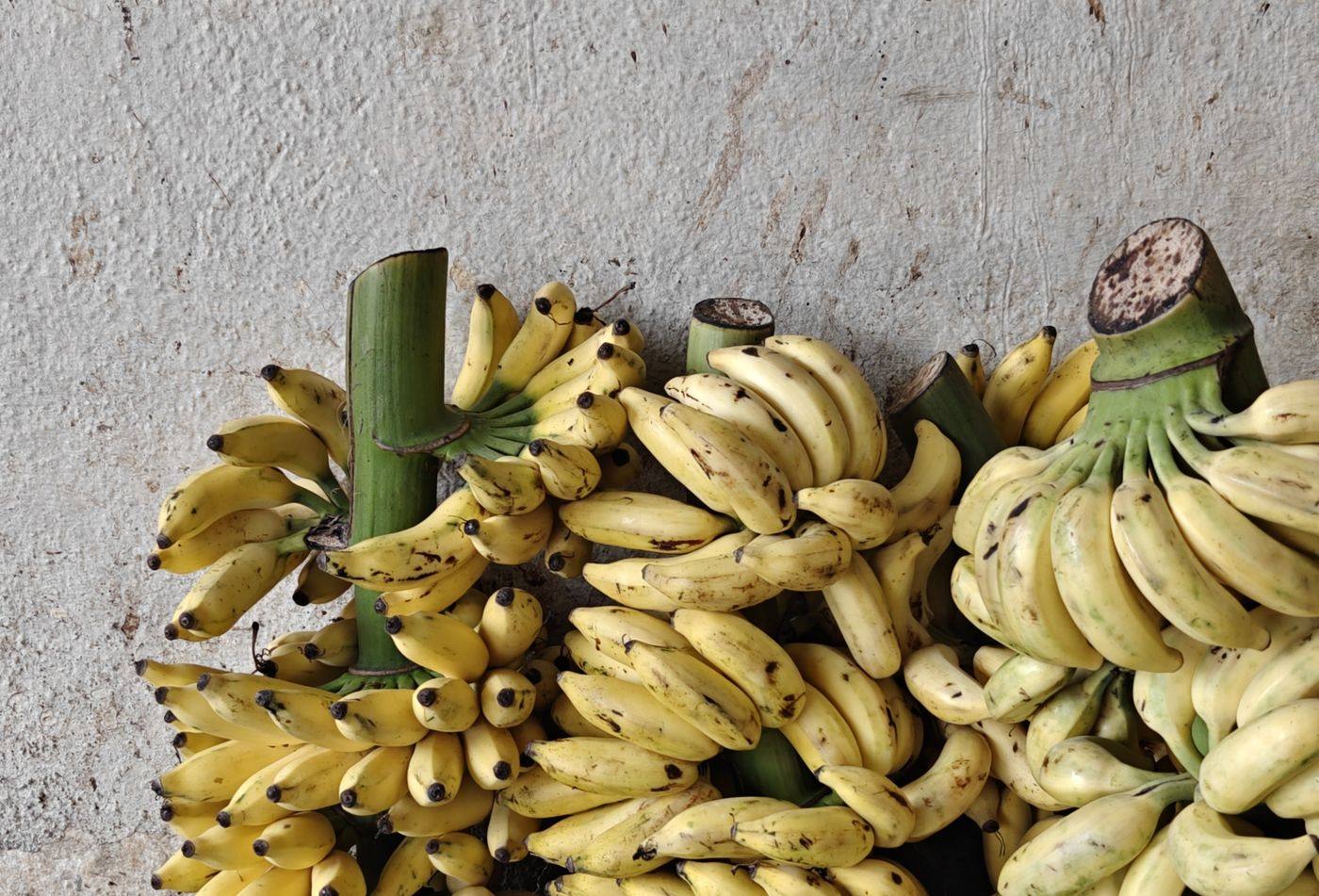 Green and red banana varieties held side by side at the stall