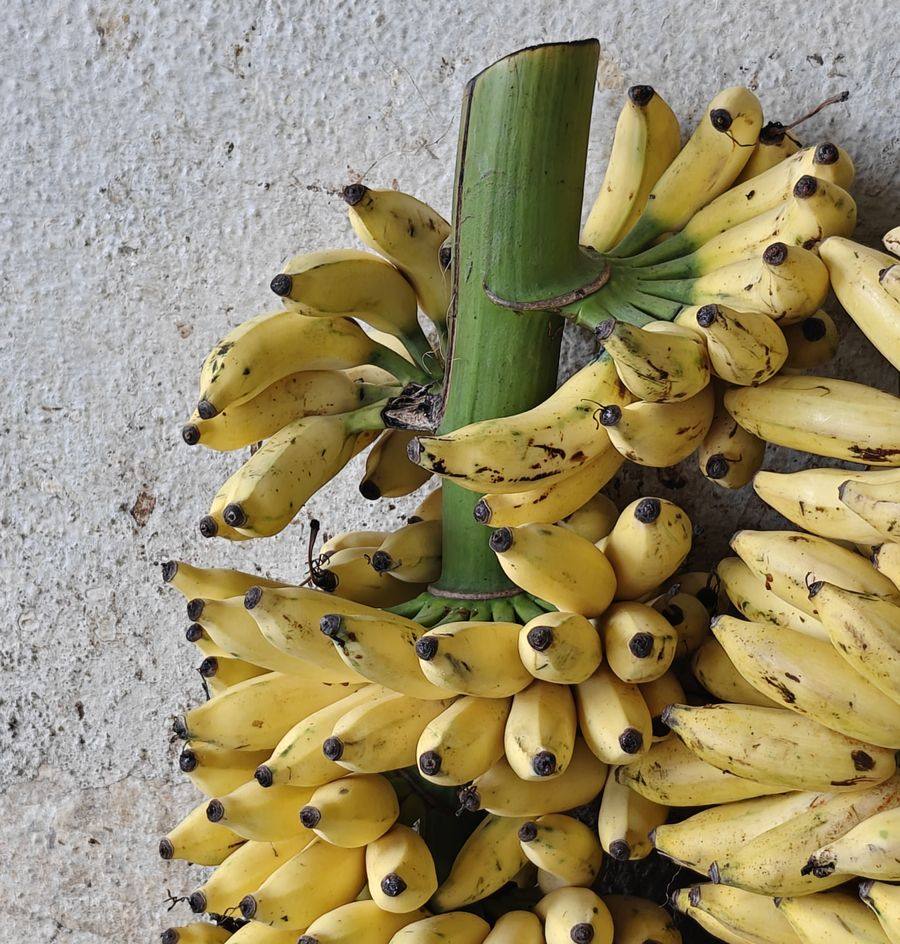 Ripened Nendran at the stall
