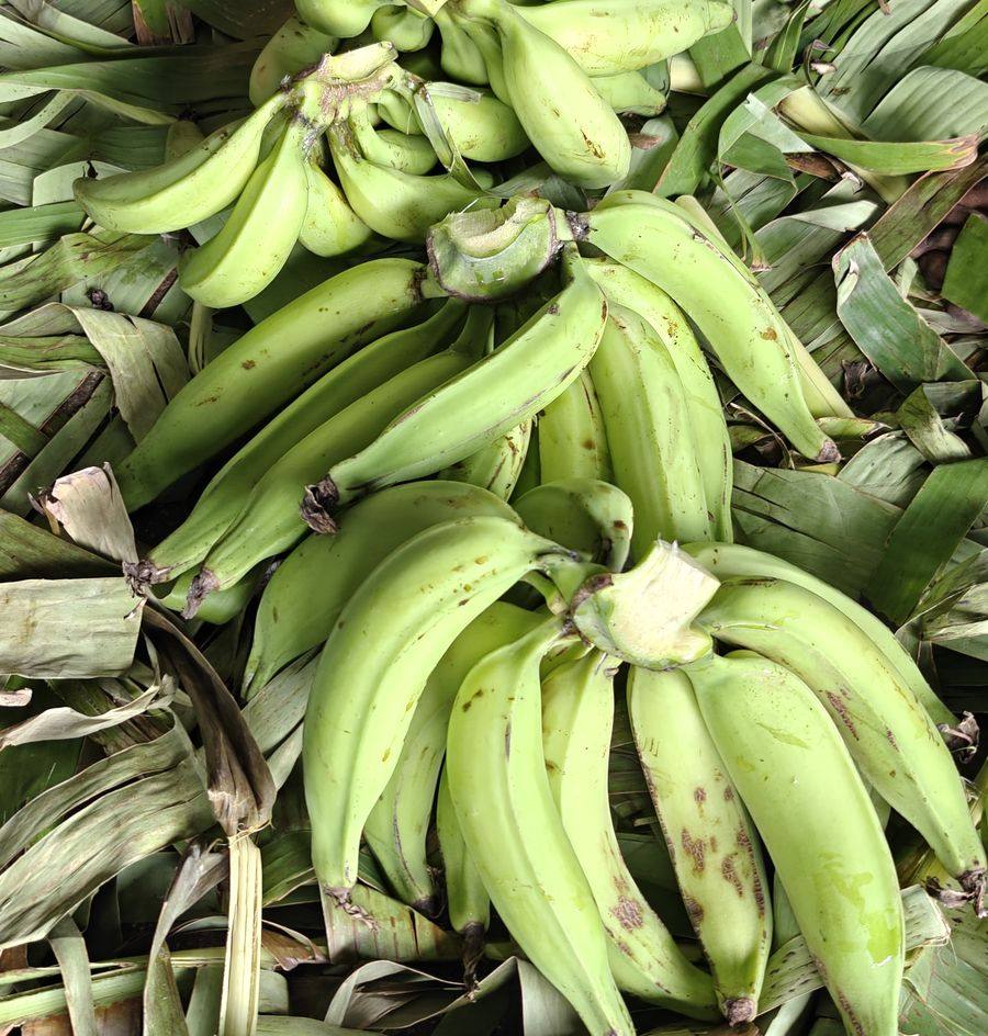 Nendran plantains