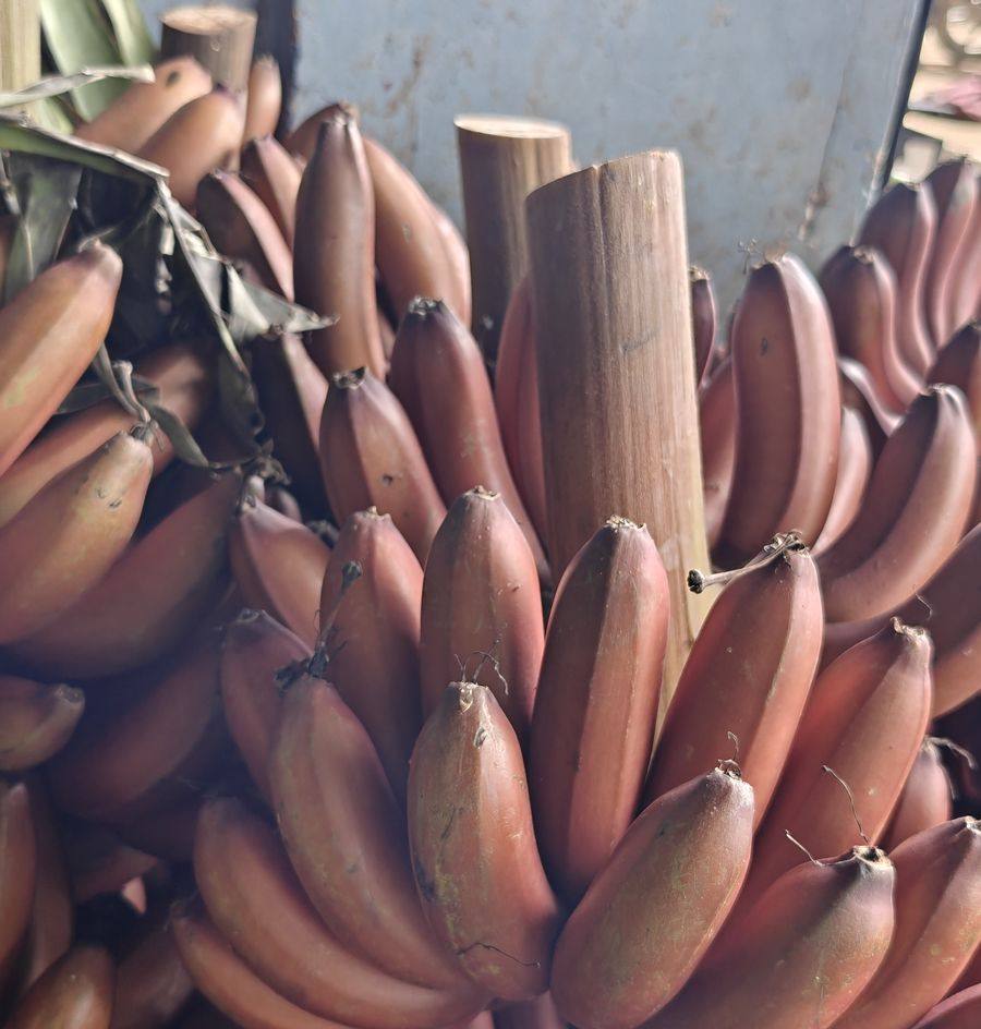Red Banana, Sevvazhai