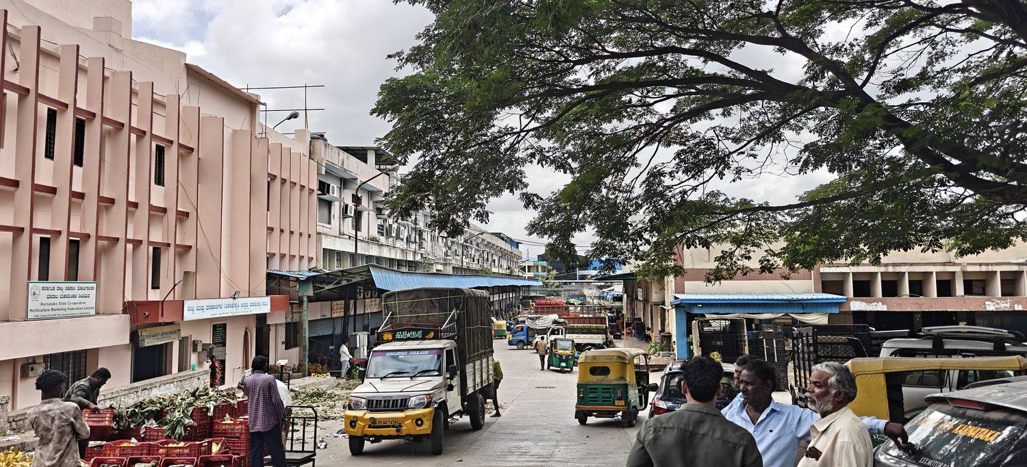 The APMC Banana Market Yard at Binnypet, Bengaluru